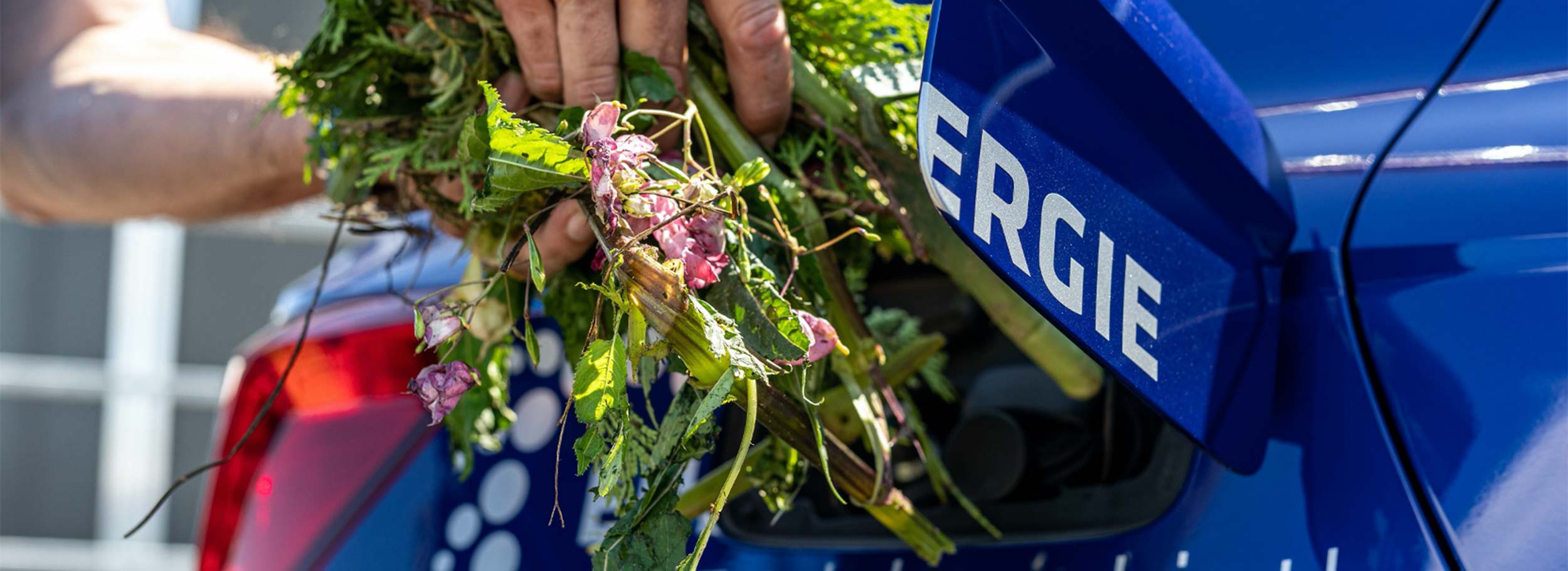 Energieverbund SeeRose