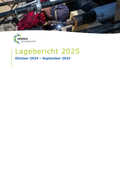 Lagebericht 2025
